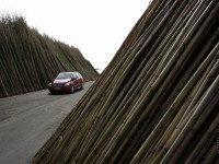 Mercedes-Benz B-Class 2005 photo