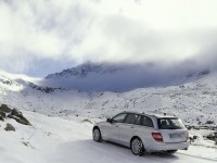 Mercedes-Benz C-Class Wagon S204 photo