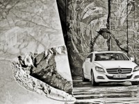 Mercedes-Benz CLS Shooting Brake 2011 photo