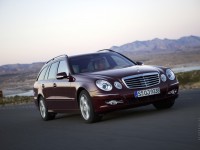 Mercedes-Benz E-Class Wagon W211 photo