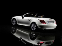 Mercedes-Benz SLK-Class 2004 photo