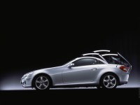 Mercedes-Benz SLK-Class 2004 photo