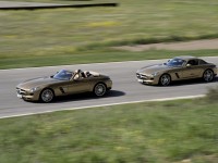 Mercedes-Benz SLS AMG Roadster photo